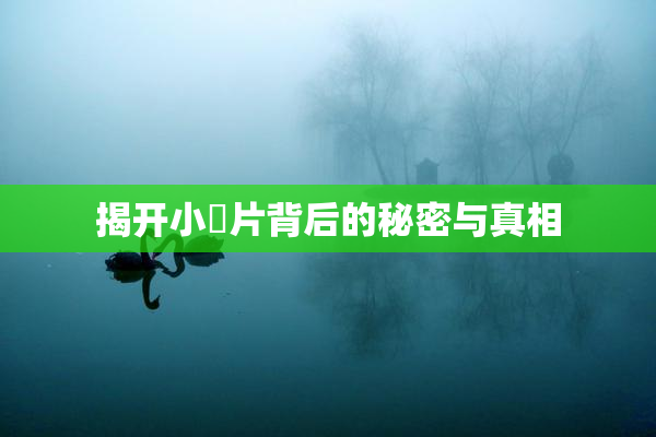 揭开小黃片背后的秘密与真相