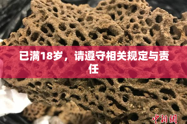 已满18岁，请遵守相关规定与责任