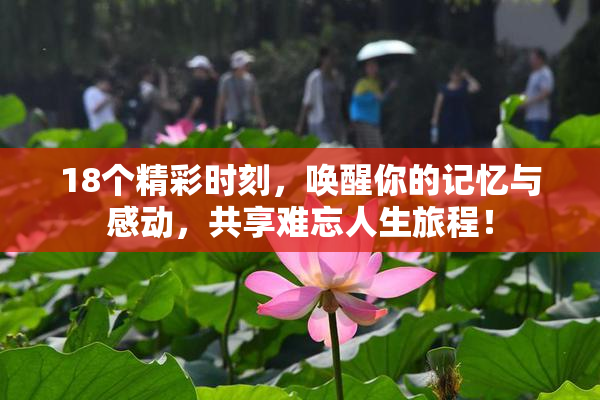 18个精彩时刻，唤醒你的记忆与感动，共享难忘人生旅程！