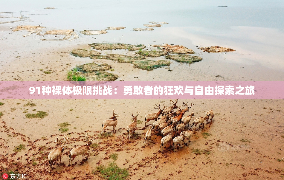 91种裸体极限挑战：勇敢者的狂欢与自由探索之旅