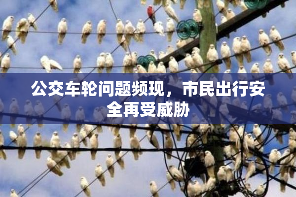 公交车轮问题频现，市民出行安全再受威胁