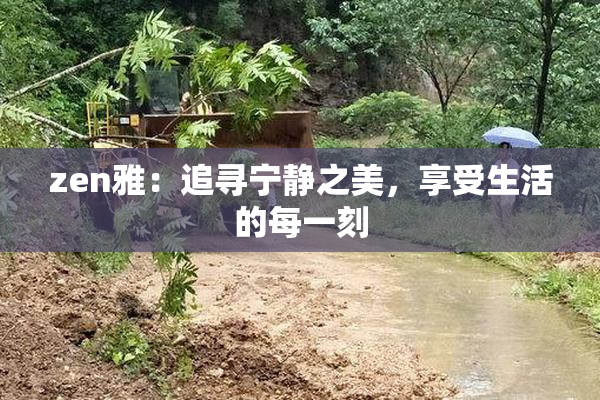 zen雅：追寻宁静之美，享受生活的每一刻