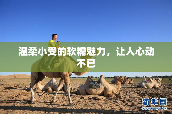 温柔小受的软糯魅力，让人心动不已