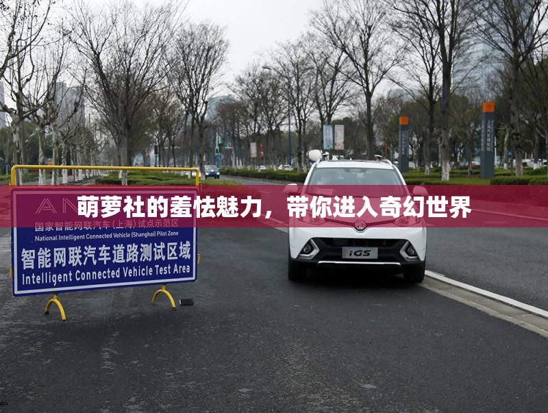 萌萝社的羞怯魅力，带你进入奇幻世界