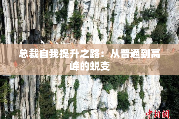 总裁自我提升之路：从普通到高峰的蜕变