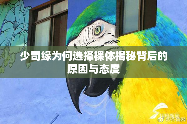 少司缘为何选择裸体揭秘背后的原因与态度