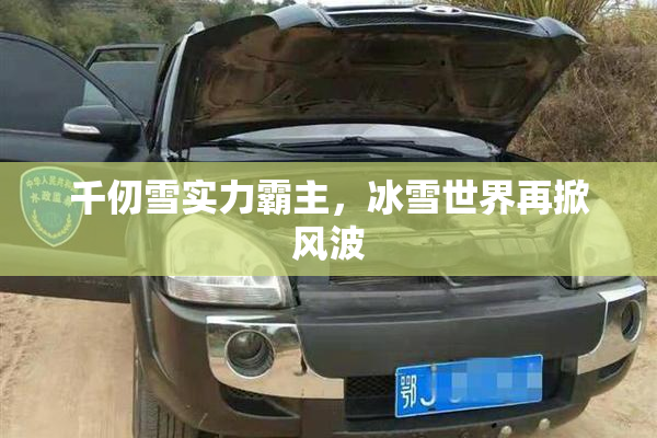 千仞雪实力霸主，冰雪世界再掀风波