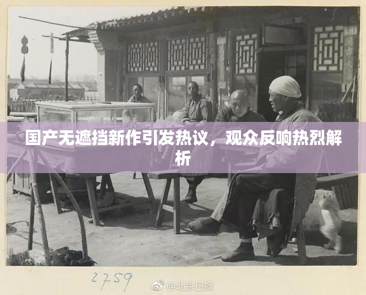 国产无遮挡新作引发热议，观众反响热烈解析
