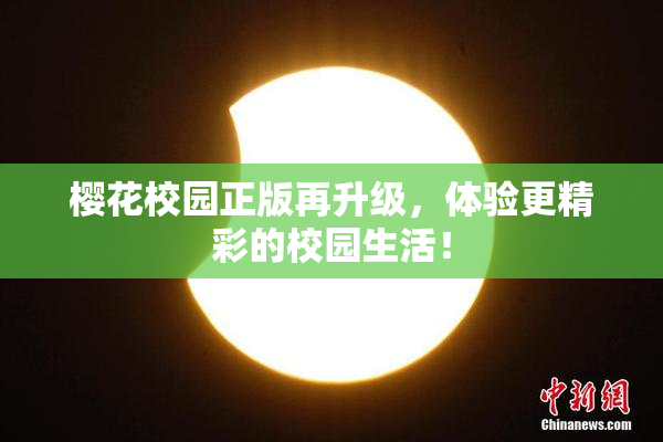樱花校园正版再升级，体验更精彩的校园生活！