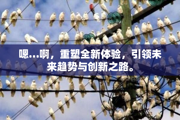嗯…啊，重塑全新体验，引领未来趋势与创新之路。