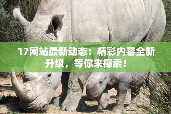 17网站最新动态：精彩内容全新升级，等你来探索！