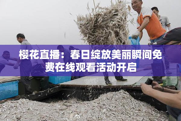 樱花直播：春日绽放美丽瞬间免费在线观看活动开启