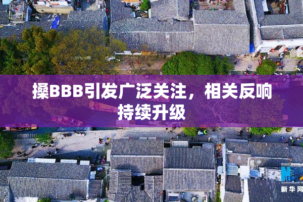 搡BBB引发广泛关注，相关反响持续升级