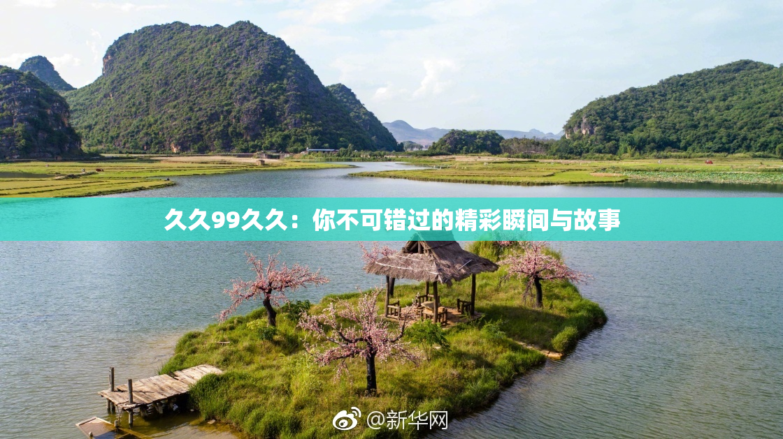 久久99久久：你不可错过的精彩瞬间与故事