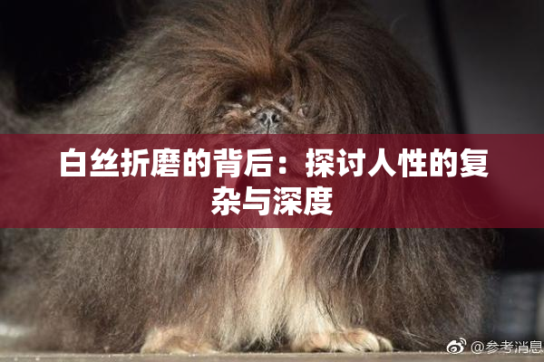 白丝折磨的背后：探讨人性的复杂与深度