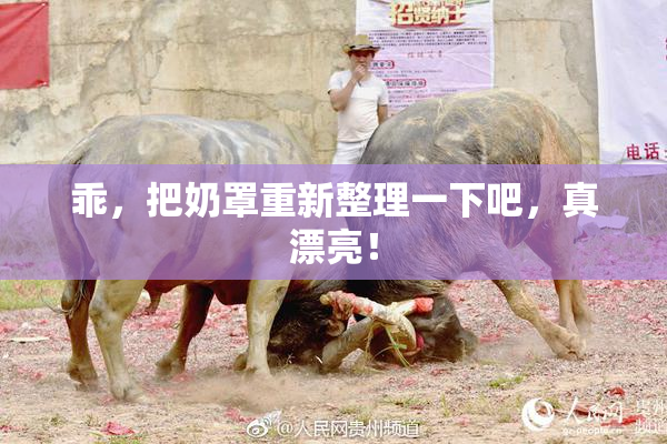 乖，把奶罩重新整理一下吧，真漂亮！