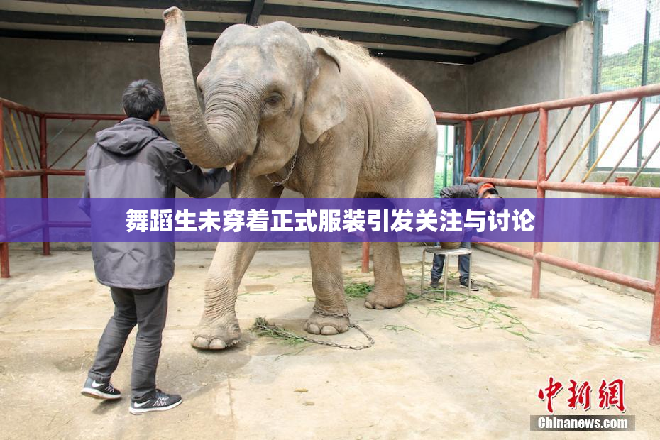 舞蹈生未穿着正式服装引发关注与讨论