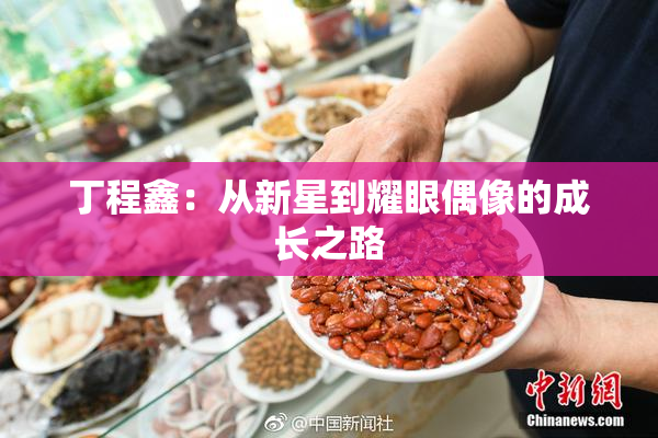 丁程鑫：从新星到耀眼偶像的成长之路