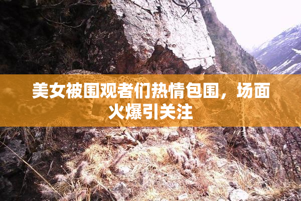 美女被围观者们热情包围，场面火爆引关注