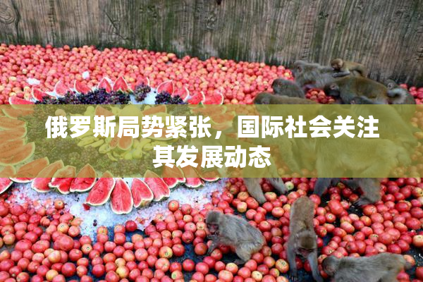 俄罗斯局势紧张，国际社会关注其发展动态