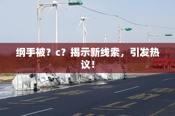 纲手被？c？揭示新线索，引发热议！