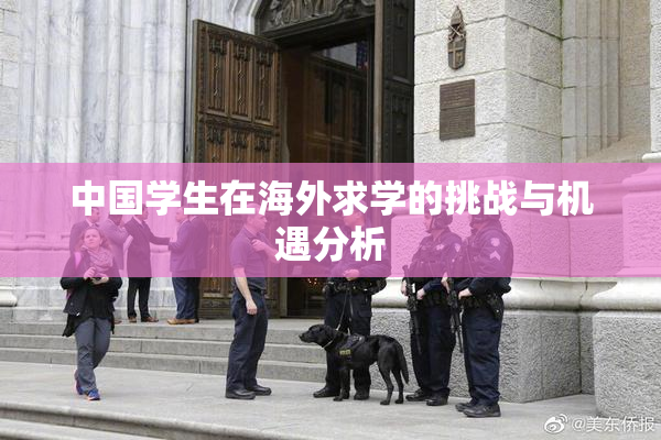 中国学生在海外求学的挑战与机遇分析