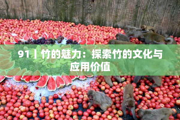 91丨竹的魅力：探索竹的文化与应用价值