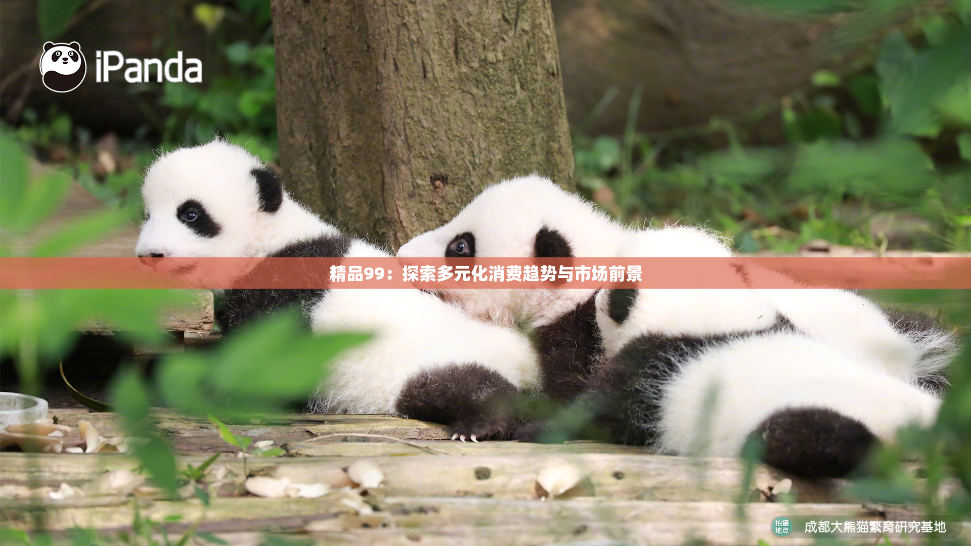 精品99：探索多元化消费趋势与市场前景