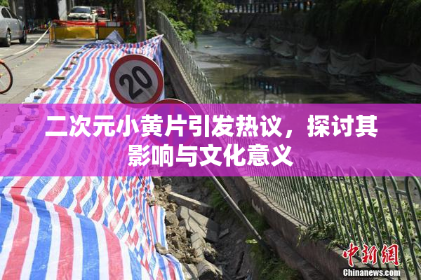 二次元小黄片引发热议，探讨其影响与文化意义