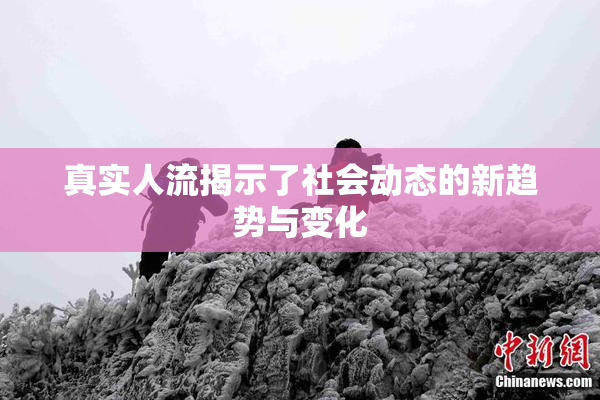 真实人流揭示了社会动态的新趋势与变化