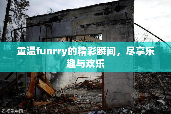 重温funrry的精彩瞬间，尽享乐趣与欢乐