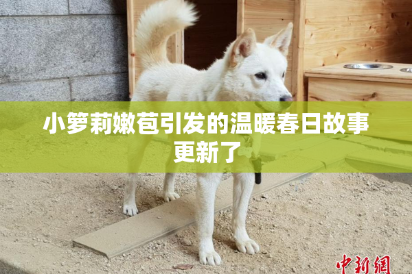 小箩莉嫩苞引发的温暖春日故事更新了