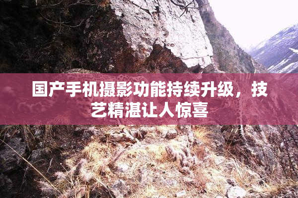 国产手机摄影功能持续升级，技艺精湛让人惊喜