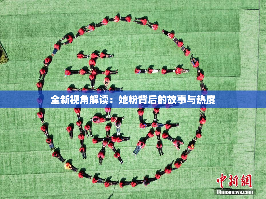 全新视角解读：她粉背后的故事与热度