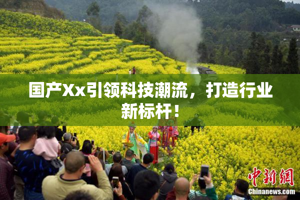 国产Xx引领科技潮流，打造行业新标杆！