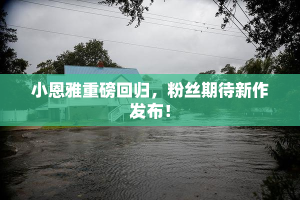 小恩雅重磅回归，粉丝期待新作发布！