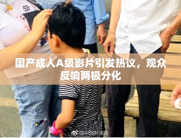 国产成人A级影片引发热议，观众反响两极分化