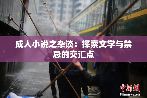 成人小说之杂谈：探索文学与禁忌的交汇点