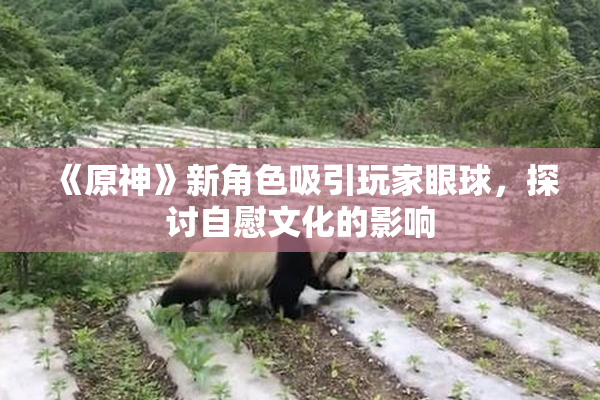 《原神》新角色吸引玩家眼球，探讨自慰文化的影响