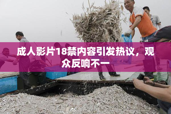 成人影片18禁内容引发热议，观众反响不一