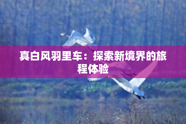 真白风羽里车：探索新境界的旅程体验