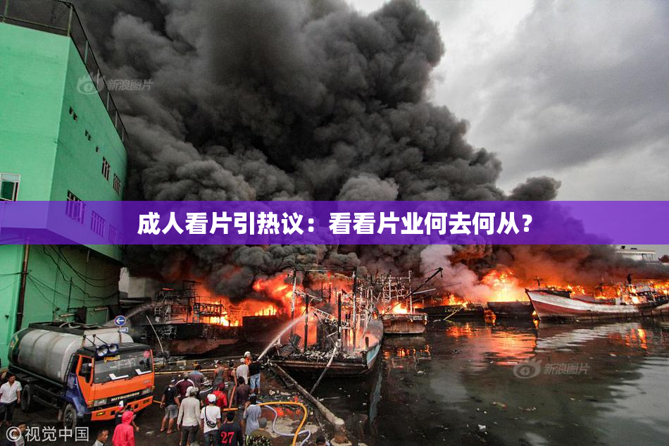 成人看片引热议：看看片业何去何从？