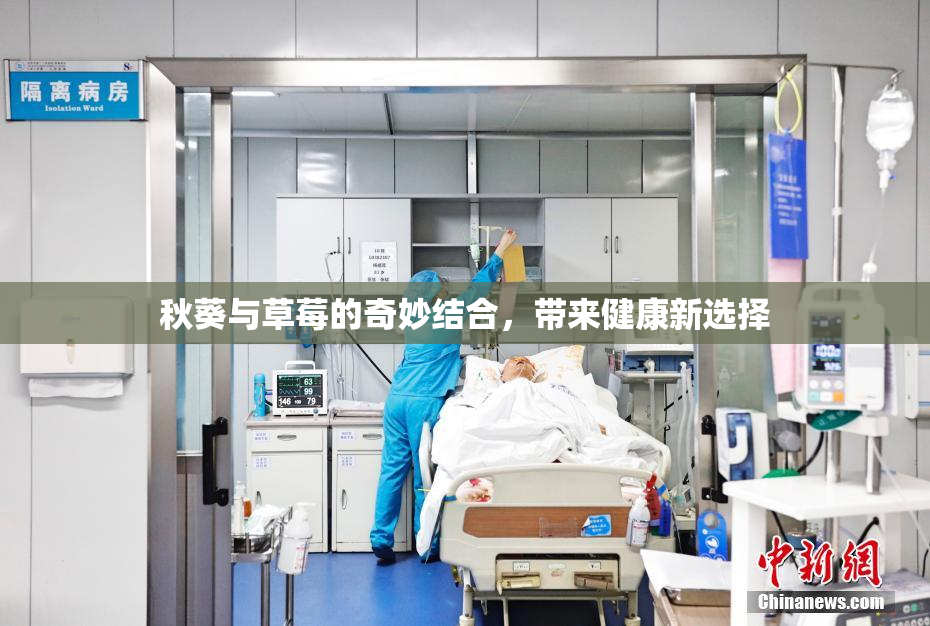 秋葵与草莓的奇妙结合，带来健康新选择