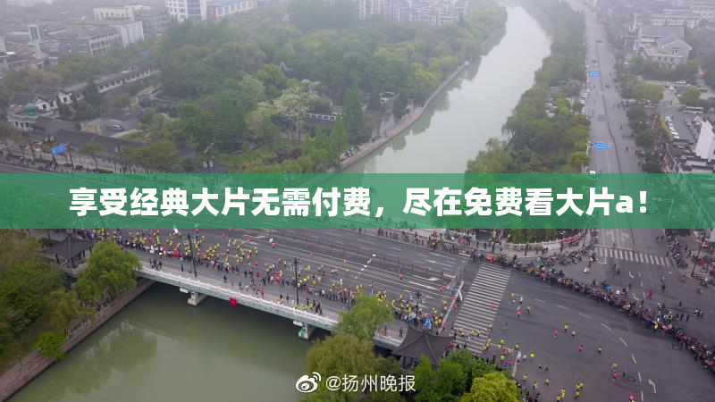 享受经典大片无需付费，尽在免费看大片a！