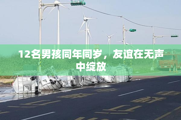 12名男孩同年同岁，友谊在无声中绽放