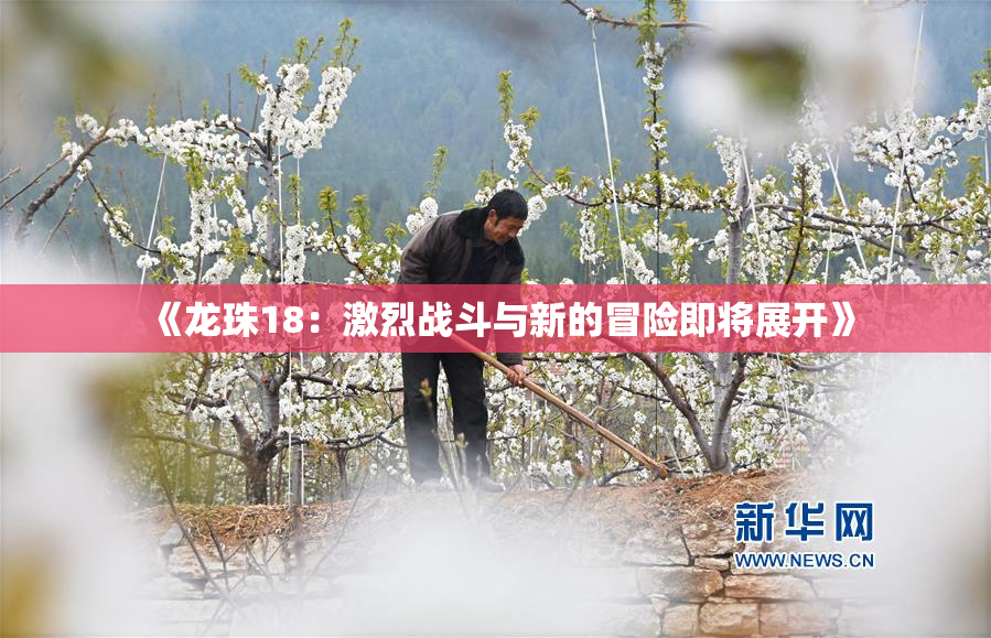 《龙珠18：激烈战斗与新的冒险即将展开》