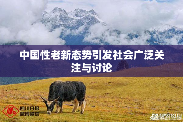 中国性老新态势引发社会广泛关注与讨论