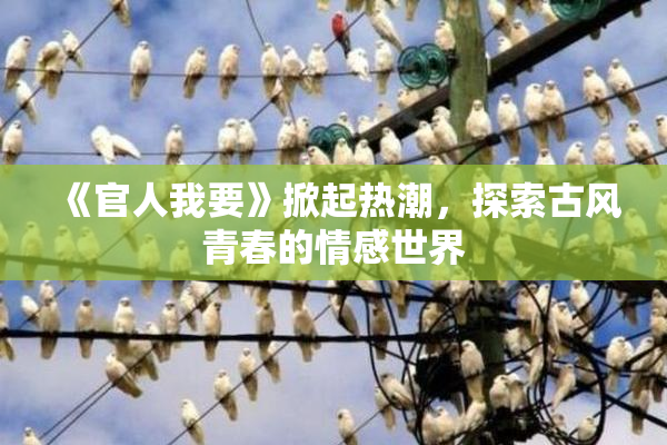 《官人我要》掀起热潮，探索古风青春的情感世界