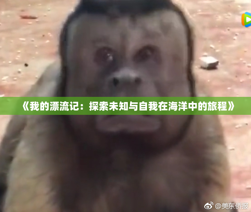 《我的漂流记：探索未知与自我在海洋中的旅程》