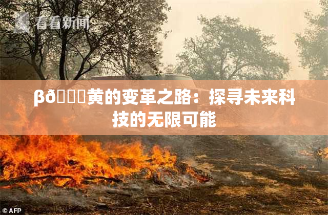 β🔞黄的变革之路：探寻未来科技的无限可能